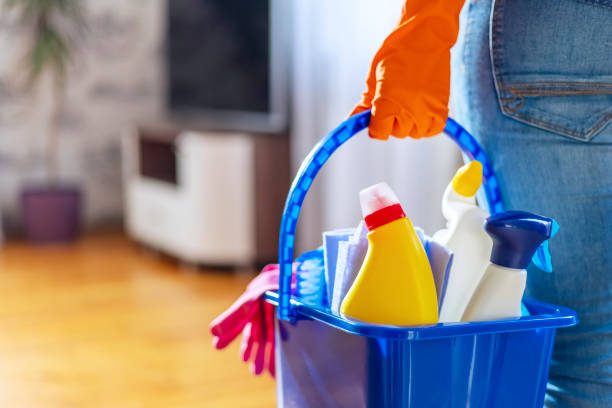 Professional Home Cleaning Services